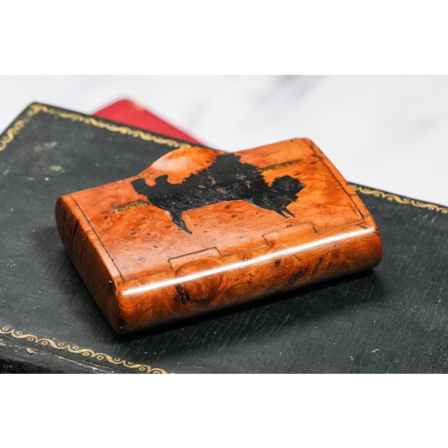 Fantastic Antique Handmade Burlwood Snuff Box Hand Painted Scottish Terrier Dog Top Tobacciana For Sale - Image 9 of 11