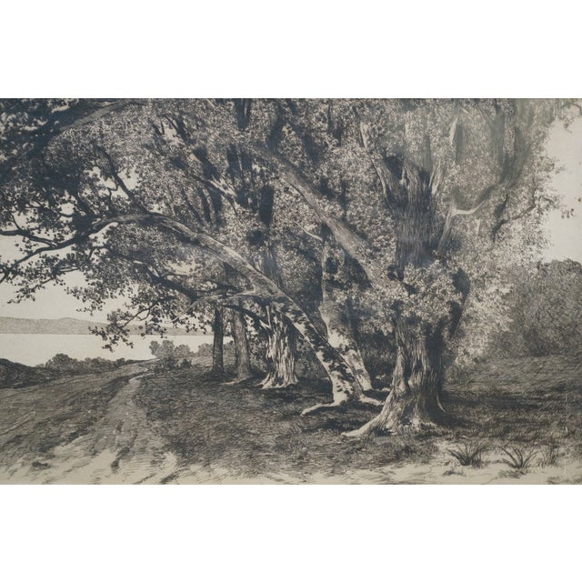 Antique Ernest C Rost Country Road Cottage Trees Lake Landscape Etching 30" For Sale - Image 11 of 11