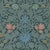 HYACINTH NOVELLUS Wallpaper - Euphorbia For Sale