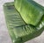 Green Postmodern Patinated Green Buffalo Leather Sofa by Roche Bobois For Sale - Image 8 of 10