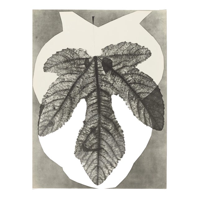 Pablo Picasso, Diurnes "Midas", 1962, offset lithograph For Sale