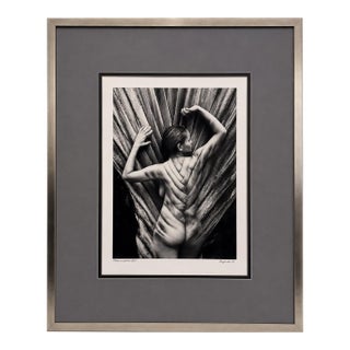 British Contemporary Photography Boyarde Messenger (London, Uk) Signed & Numbered LTD Edition Archival Print Metamorphosis 2009 Edition Iii/v (3 of 5) For Sale