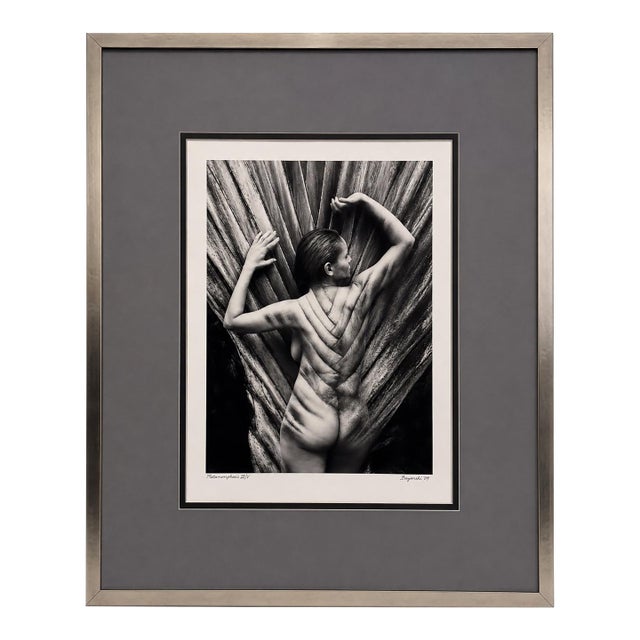 British Contemporary Photography Boyarde Messenger (London, Uk) Signed & Numbered LTD Edition Archival Print Metamorphosis 2009 Edition Iii/v (3 of 5) For Sale