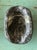 Vintage Italian Scagliola Pigmented Plaster Turtle Shell For Sale - Image 11 of 12