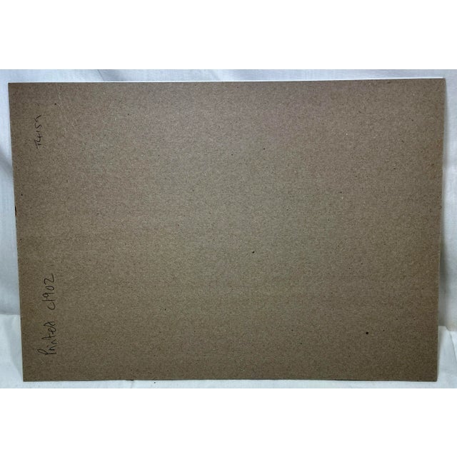 Antique Fish Print From England Featuring Eel, Conger, Murry, Goldfish, Barbel, Gudgeon & Varieties of Carp - Circa 1902 For Sale - Image 10 of 11