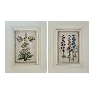 Daniel Rabel Botanical Engravings From Theatrum Florae Printed 1622 Paris, a Pair For Sale