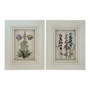 Daniel Rabel Botanical Engravings From Theatrum Florae Printed 1622 Paris, a Pair
