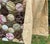 Brown Hippie-Chic Japanese Cotton Medallion Quilt — Chocolate Brown & Pink Floral Circles, Hand Quilted, 66x88in. For Sale - Image 8 of 18