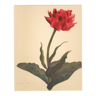 1940 French Botanical by Arlette Davids-Tulip, Matted For Sale