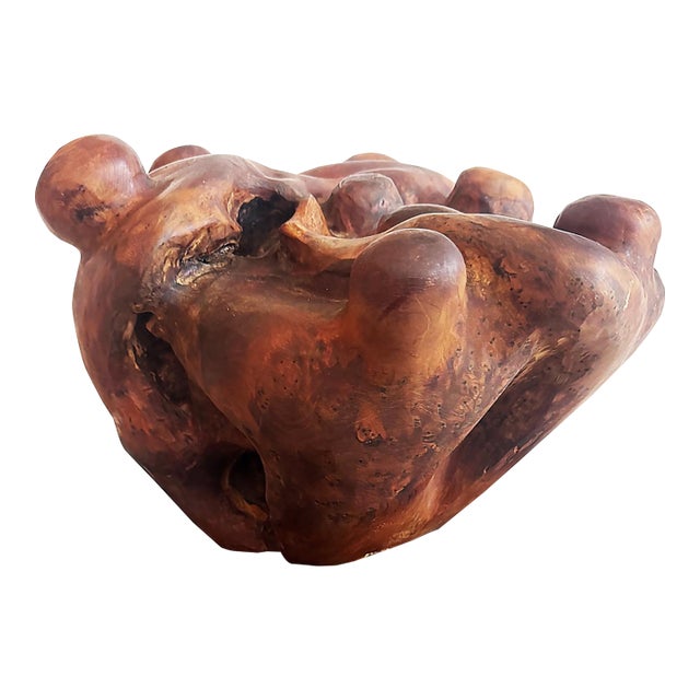 Biomorphic Mid-Century Abstract Burlwood Sculpture on a Base For Sale
