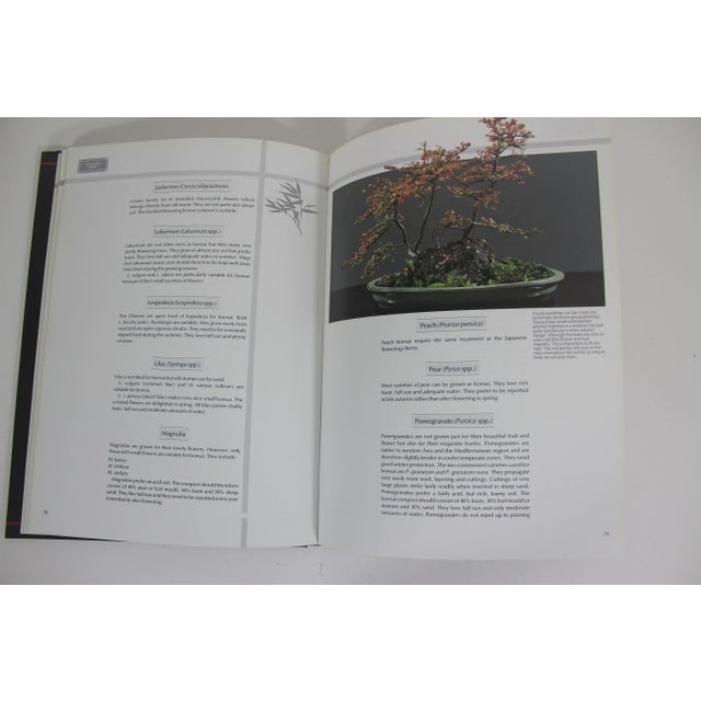 Paper 1989 Bonsai the Art of Growing and Keeping Miniature Trees Book Hard Cover For Sale - Image 7 of 8
