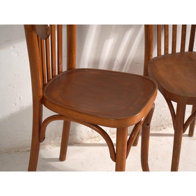 Bentwood Chairs by Michael Thonet for Ton, Former Czechoslovakia, 1960s, Set of 2 For Sale - Image 3 of 14
