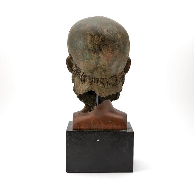 Wood 19th Century Grand Tour Patinated Bronze Head of a Classical Bearded Deity, Poseidon For Sale - Image 7 of 10