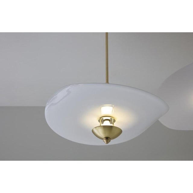 Curve Echappée Glass Pendant Lamp by Jennifer Midoz For Sale - Image 9 of 12
