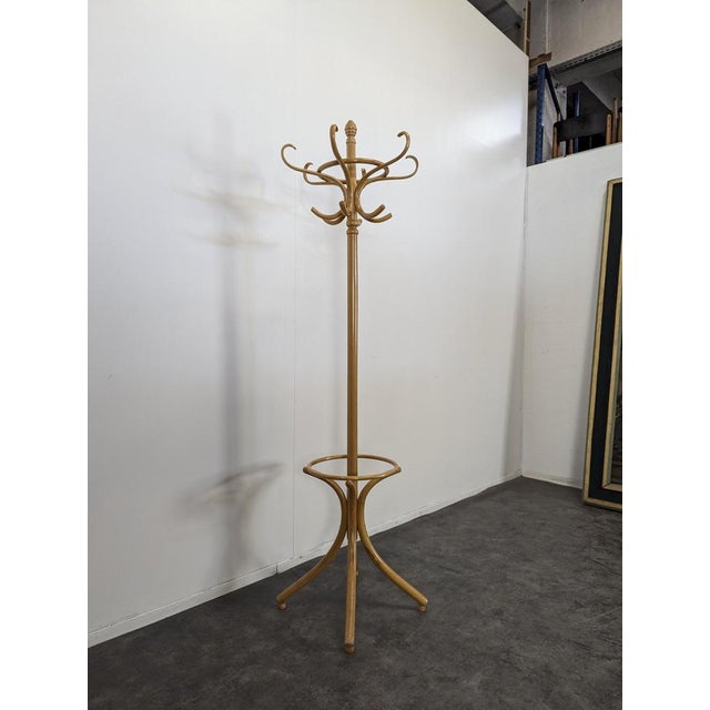Curved Perroquet Coat Rack, in Very Good conditions.