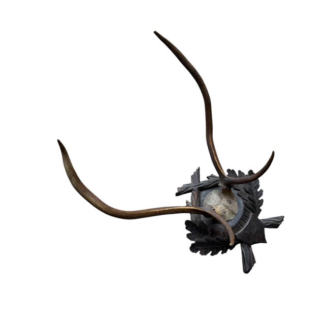 A large Black Forest trophy antler mount on carved wood plaque — a commanding piece. Measures 20"W x 13"D x 27"H. A...