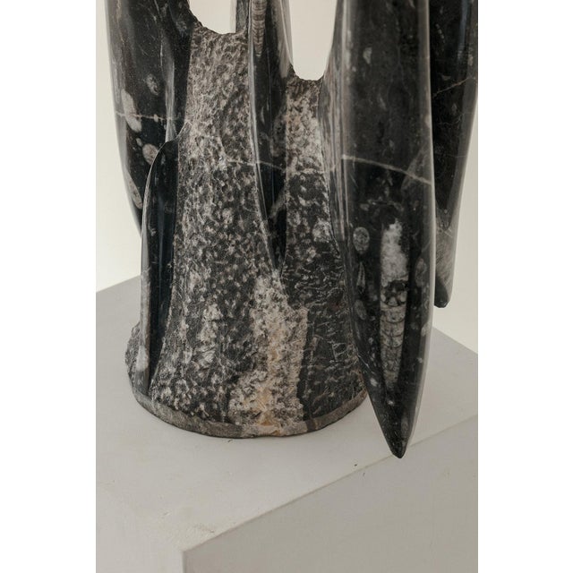 Stone Black Abstract Sculpture, 1980s, Fossilstone For Sale - Image 7 of 9