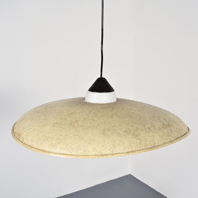 Fiberglass Pendant Light by Louis Christiaan Kalff for Philips, 1960 For Sale - Image 11 of 16