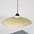 Fiberglass Pendant Light by Louis Christiaan Kalff for Philips, 1960 For Sale - Image 11 of 16