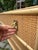 Wood Rattan Bamboo Chest of Drawers with Brass Handles from Dal Vera, Italy For Sale - Image 7 of 11