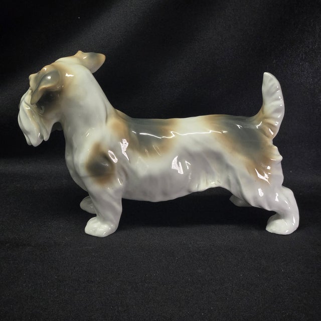 Antique Unterweissbach Porcelain Sealyham Terrier Figurine For Sale - Image 4 of 11