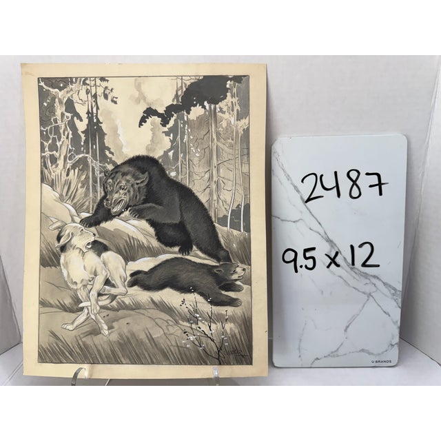 1940s Original Signed Graphite Illustration of Bear Confronting Hunting Dog, 12 × 9.5 In. For Sale In Atlanta - Image 6 of 6