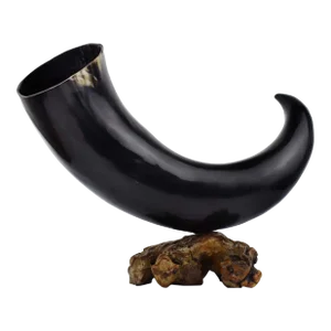 Natural Oversized Buffalo Horn Mounted on a Wooden Base Sculpture
