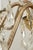 Metal Mid 20th Century Rococo Revival Eight Arm Scalloped Crystal Chandelier For Sale - Image 7 of 11
