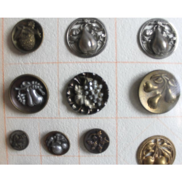 1920s Fruit Buttons Vintage in Shadow Frame, 62 For Sale - Image 4 of 11