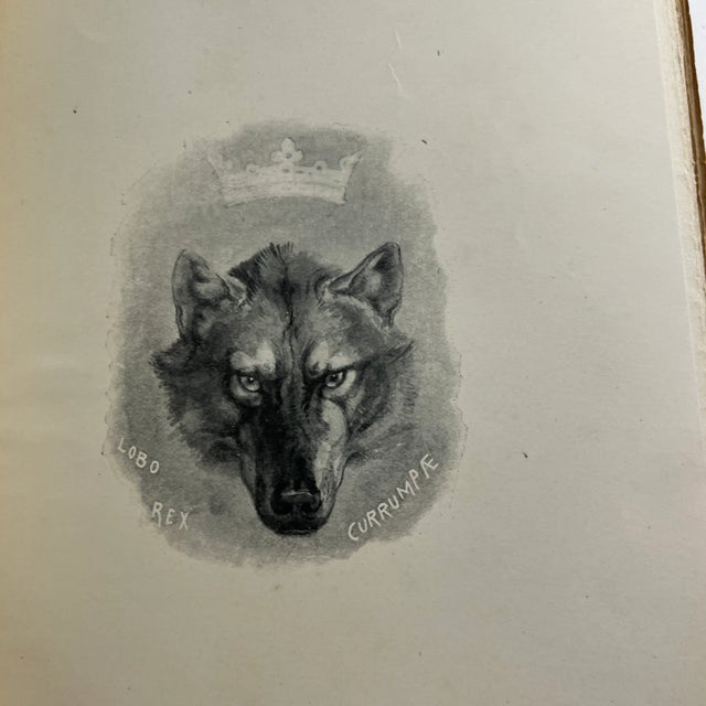 1902 Wild Animals I Have Known Book For Sale - Image 11 of 13