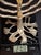 VTG Fred Spinowitz Tree of Life Menorah Signed Judaica Silver Tone Brass Leaves For Sale - Image 18 of 18