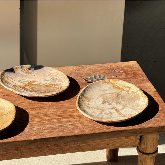 Stone Small Trinket Tray in Speckled Beige Petrified Wood For Sale - Image 7 of 18