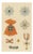 Plate LX Orders of Prussia, Black Eagle and Red Eagle Insignia, 1844 For Sale