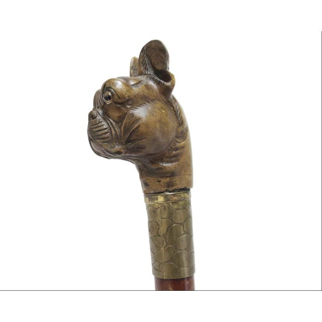 Victorian Bulldog Dog Head With Realistic Eyes Carved Wood Walking Stick Cane For Sale - Image 4 of 12