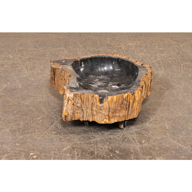Wood Live Edge Petrified Wood Sink, Black & Tan For Sale - Image 7 of 10