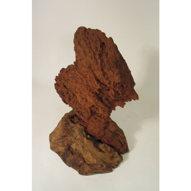 Brown 1960s Driftwood Sculpture For Sale - Image 8 of 13