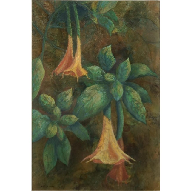 Gorgeous botanical of apricot Angel Trumpet (Brugmansia) by Miriam Prince Pinkerton (American, 1933-2013), circa 2000....