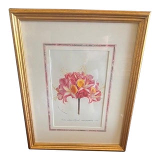 Mid 19th Century Botanical Print - Azalea For Sale
