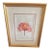 Mid 19th Century Botanical Print - Azalea For Sale