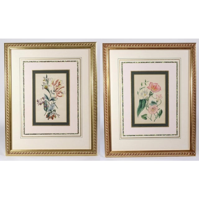 Wood Robert Mackenzie Stark Pair of Botanical Prints From ‘Lessons From the Vegetable World’ For Sale - Image 7 of 11