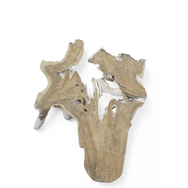 Inspired by the beauty of natural root formation, this organic teak root wall sculpture is handcrafted from one piece of...