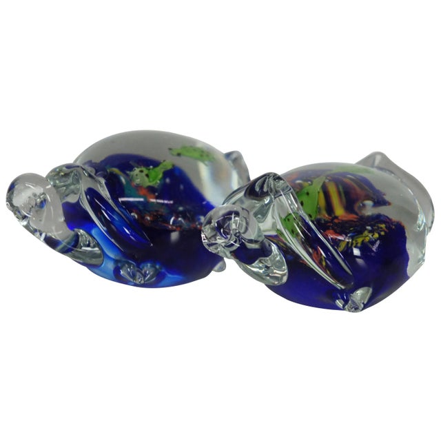 Vintage Italian Art Glass Sea Turtle Aquarium Paperweights - a Pair For Sale - Image 13 of 13