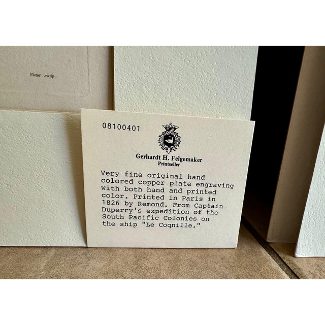 Set 3 Hand-Colored Engraving - Captain Duperry "Voyage De La Coquille" 1826 For Sale - Image 17 of 18