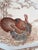 Large Johnson Brothers Turkey Platter For Sale - Image 11 of 15