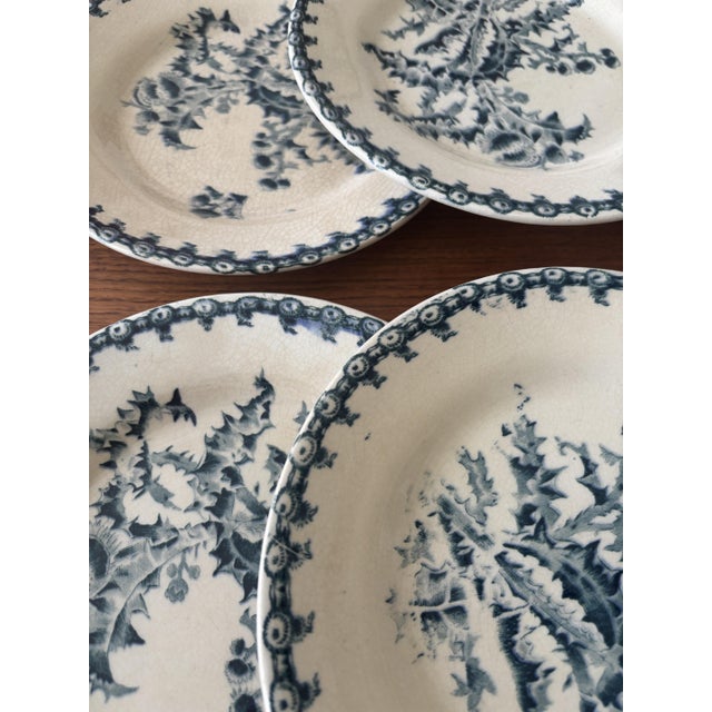Vintage Dessert Plates with Chardon Pattern from Gien, 1940s, Set of 6 For Sale - Image 6 of 10