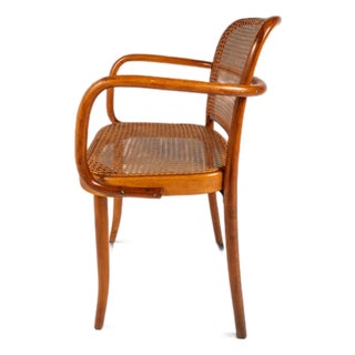 Mid-Century Modern Bentwood Model 811 "Prague" Armchair by Josef Frank Josef Hoffmann for Stendig, Czechoslovakia, C. 1960s For Sale