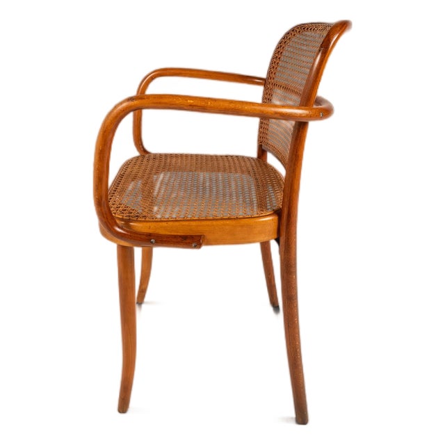 Mid-Century Modern Bentwood Model 811 "Prague" Armchair by Josef Frank Josef Hoffmann for Stendig, Czechoslovakia, C. 1960s For Sale