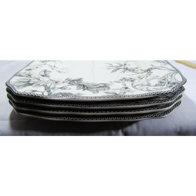 White Vintage 222 Fifth Adelaide Toile Print Dinner Plates For Sale - Image 8 of 11