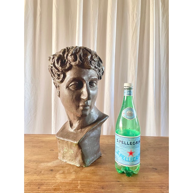 Classical Terracotta Bust, 1960s For Sale - Image 10 of 18