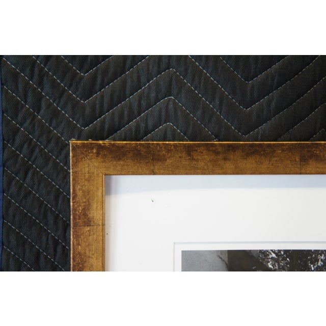 Black and White Decorative Garden Photographs in Gold Frames of Castle Lion Statue - Set of 3 For Sale - Image 11 of 12